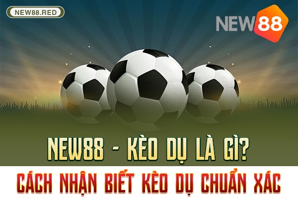 New88 - Kèo dụ là gì? Cách nhận biết kèo dụ chuẩn xác