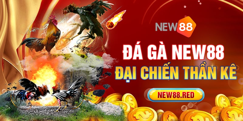 New88 sở hữu những trận đấu gà hấp dẫn nhất hành tinh