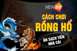 Cách chơi Rồng Hổ online chắc thắng cho người mới