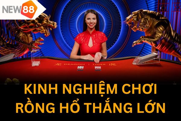 Học hỏi kinh nghiệm chơi rồng hổ từ cao thủ giúp bạn tăng tỷ lệ thắng