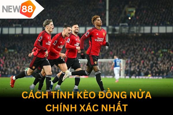 Hướng dẫn chi tiết về cách tính kèo đồng nửa