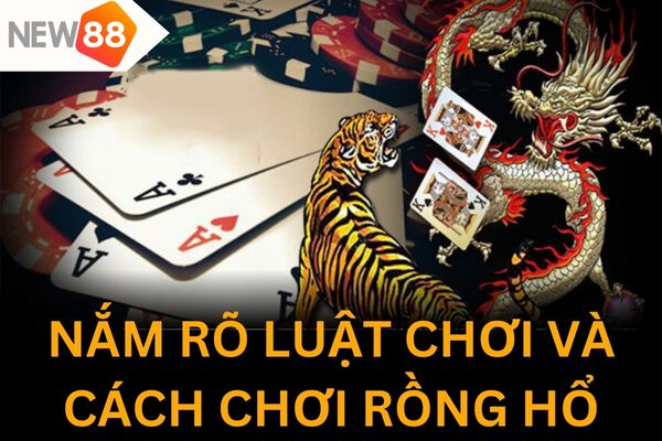 Bạn cần biết rõ được luật và cách đặt cược cơ bản trước khi chơi rồng hổ