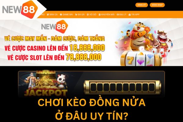 New88 là nhà cái chơi kèo đồng nửa uy tín cho anh em đặt cược