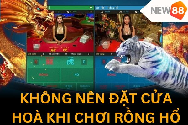 Tỷ lệ cửa hoà có tỷ lệ thắng rất thấp, hãy cân nhắc cửa Hổ hay Rồng nhé