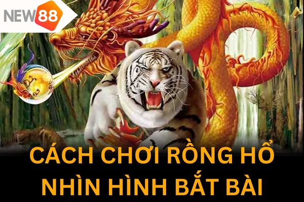 Mẹo đánh rồng hổ không phải ai cũng biết